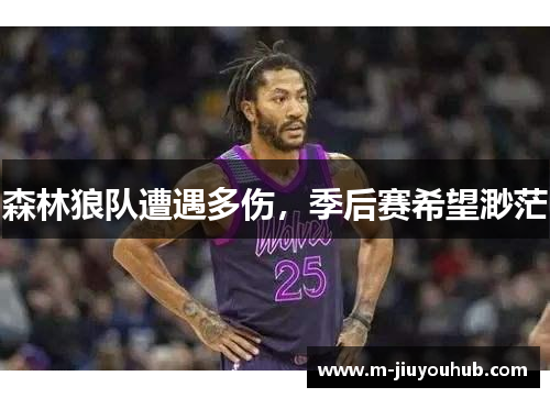 森林狼队遭遇多伤，季后赛希望渺茫