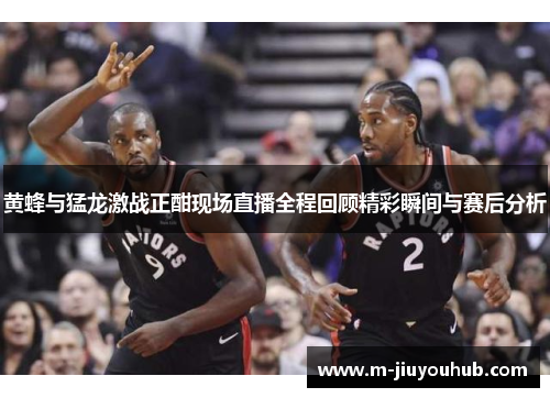 黄蜂与猛龙激战正酣现场直播全程回顾精彩瞬间与赛后分析
